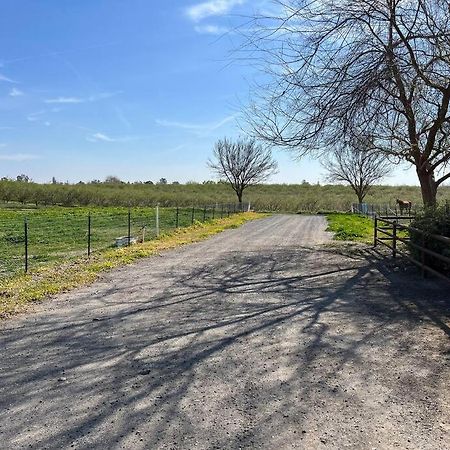 Adorable 1 Bedroom With Pool, And Horse Arena Oakdale Exterior photo